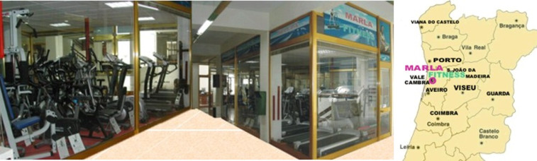 Passadeira profissional